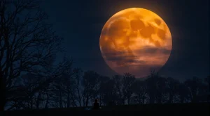 Lune de sang ou lune du ver ? Voici ce que va révéler la prochaine pleine lune de mars